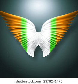 Advertising - product photo of irish flag angle wings