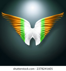 Advertising - product photo of irish flag angle wings