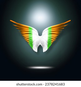 Advertising - product photo of irish flag angle wings