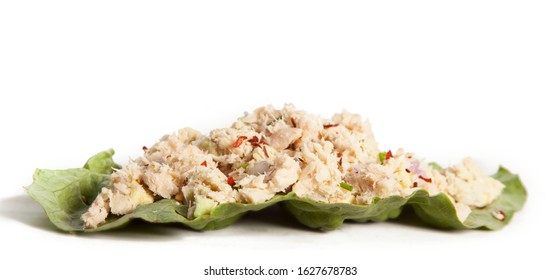 Advocado Tuna Lettuce Wrap On White Background