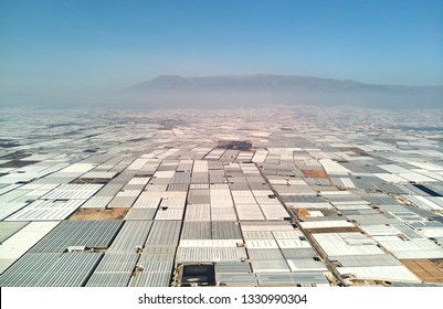 Aerial above drone point of view many polythene plastic exterior greenhouses hothouses where cultivated fruits and vegetables in the Almerimar, province of Almeria, Andalucia or Andalusia, Spain - Powered by Shutterstock