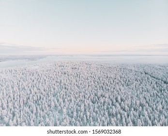 Aerial above forest with snow covered trees in Ounasvaara mountain in Rovaniemi, Finland - Powered by Shutterstock