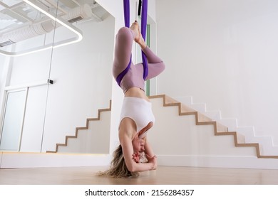 Aerial anti-gravity yoga stretching woman practicing in studio hanging with hammocks in colorfull sportwear