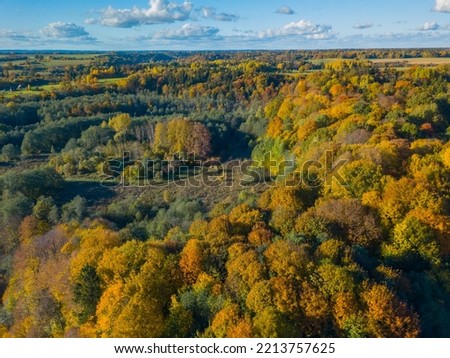 Aerial autumn landscape with colorful maple trees Stock photo © 