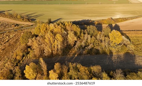 An aerial autumn scene of colorful trees amidst expansive farmland, capturing the peaceful charm of rural landscapes with golden foliage and open fields under a clear sky. - Powered by Shutterstock