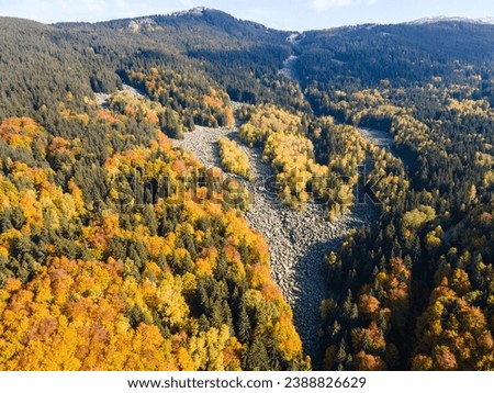 Aerial autumn view of Stone river know as Zlatnite Mostove (Golden Bridges) at Vitosha Mountain, Sofia City Region, Bulgaria