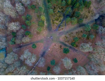 Aerial - Badbury Rings