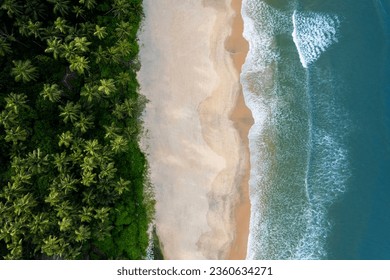 Aerial beach scenery from Kerala, Beautiful blue waves with coconut trees, tropical beach landscape