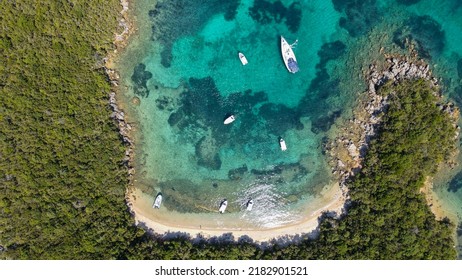 Aerial bird's eye view photo taken by drone of tropical seascape and sandy beach with turquoise clear waters and pine trees. Tropical beach with sea and palm taken from drone