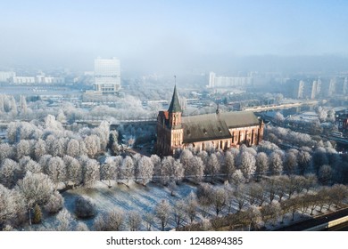 Aerial: The Cathedral In Kaliningrad In Snowy Winter