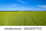 AERIAL: Colourful countryside with green and yellow fields along English coast on a sunny day. High angle view above beautifully landscaped coastline with farmland and visible lines of tractor tracks.