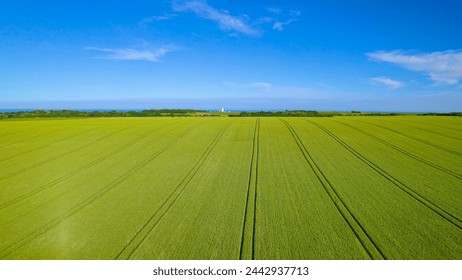 AERIAL: Colourful countryside with green and yellow fields along English coast on a sunny day. High angle view above beautifully landscaped coastline with farmland and visible lines of tractor tracks. - Powered by Shutterstock