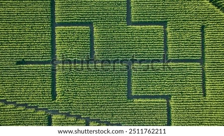 Aerial Corn Maze Geometric Patterns in Fort Wayne Indiana