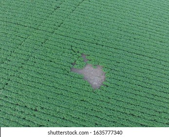 An Aerial Crop Inspection Showing A Dead Spot In A Field Of Soybean.