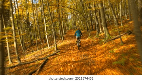 AERIAL: Cyclist rides a mountain bike along a forest path strewn with leaves. Woman is riding along the trail, lined with vibrant fall foliage, and enjoys beautiful and colorful nature in autumn. - Powered by Shutterstock