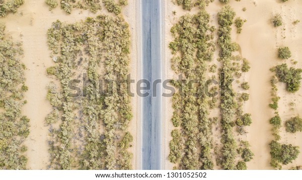 Aerial desert\
road