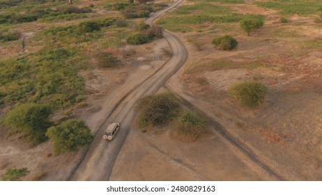 AERIAL, DISTANCING: Flying above safari jeep game driving happy tourists through vast arid savannah grassland bushland on amazing golden light sunny early morning in lovely Tarangire National Park - Powered by Shutterstock