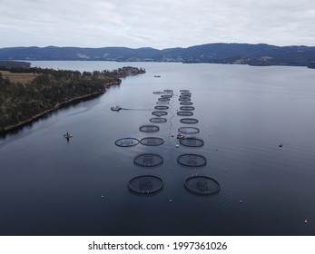 Aerial Drone Colour Landscape Photo Of Salmon Pond Farm Off The Coast Of Bruny Island, Tasmania