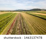 Aerial drone image of fields with diverse crop growth based on principle of polyculture and permaculture - a healthy farming method of ecosystem
