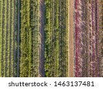 Aerial drone image of fields with diverse crop growth based on principle of polyculture and permaculture - a healthy farming method of ecosystem
