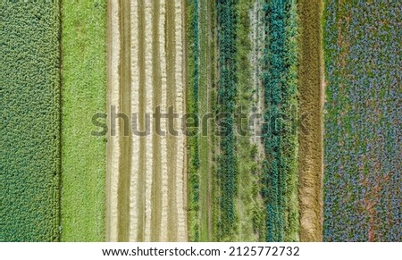 Aerial drone image of fields with diverse crop growth based on principle of polyculture and permaculture - a healthy farming method of ecosystem Foto stock © 