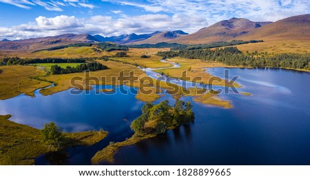 Moorland landscape with lake, grasses, trees and bizarre branches in water with reflection