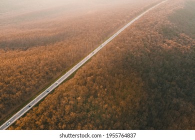 Aerial Drone Overhead Of Cars Driving Down Straight Road Through Leafless Forest Valley At Sunset. Highway Go Through European Ecosystem Wildlife Habitat Natural Environment Concept Scandinavia 4K.