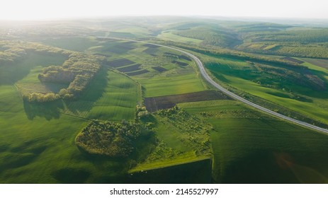 Aerial Drone Overhead Of Cars Driving Down Straight Road Through Leafless Forest Valley At Sunset. Highway Go Through European Ecosystem Wildlife Habitat Natural Environment Concept Scandinavia 4K.