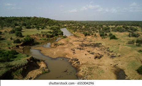 Aerial Drone Photo African Elephants On Savannah Landscape