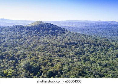 Aerial Drone Photo Central African Rainforest