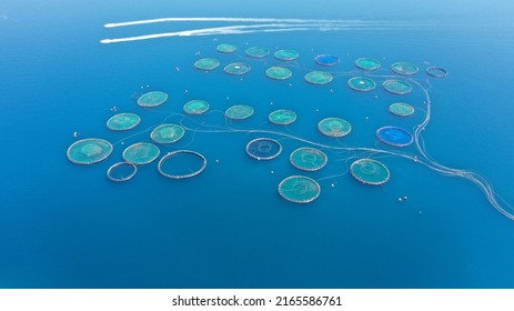 Aerial Drone Photo Of Fish Farming Industry Net Round Fish Hatching Cages In Mediterranean Deep Blue Seep Sea Waters