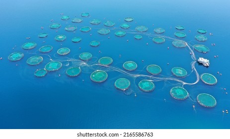 Aerial Drone Photo Of Fish Farming Industry Net Round Fish Hatching Cages In Mediterranean Deep Blue Seep Sea Waters