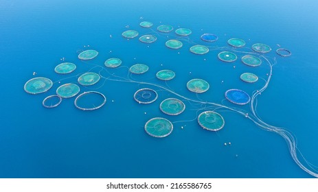 Aerial Drone Photo Of Fish Farming Industry Net Round Fish Hatching Cages In Mediterranean Deep Blue Seep Sea Waters