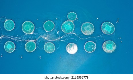 Aerial Drone Photo Of Fish Farming Industry Net Round Fish Hatching Cages In Mediterranean Deep Blue Seep Sea Waters