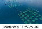 Aerial drone photo of large fish farming unit of sea bass and sea bream in growing cages in calm waters