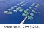 Aerial drone photo of self feeding fish farming unit of sea bass and sea bream with round net cages in Anemokambi bay area near Galaxidi, Greece
