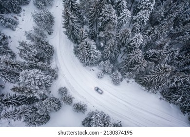 Aerial drone photography of a picturesque snowy forest with a car on a curvy road passing through it. Winter landscapes in the countryside.