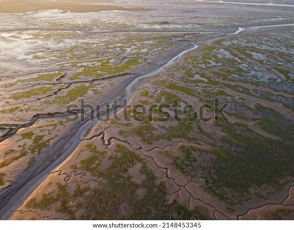 Aerial drone. Salt\
marshes at low tide exposing mud flats and streams at Motney Hill,\
Medway, Kent, England.