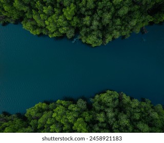 Aerial drone shot of blue water lake with green forest, Kerala nature landscape scenery - Powered by Shutterstock