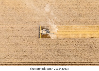 Aerial Drone Shot Of Combine Harvester Machine And Tractor Working On Wheat Farm Field In Summer Harvesting Crop - Top Down View From The Drone