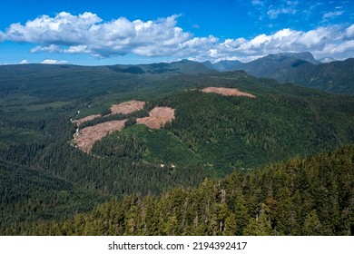 An Aerial Drone Shot Of A Cut Block Near Gibsons, Sunshine Coast, BC Canada