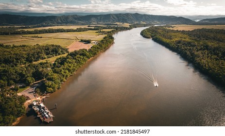 Aerial Drone Shot Of The Daintree River, Daintree Rainforest, And Daintree National Park In Tropical Far North Queensland Near Port Douglas And Cairns Featuring The Iconic Ferry In The Corner.