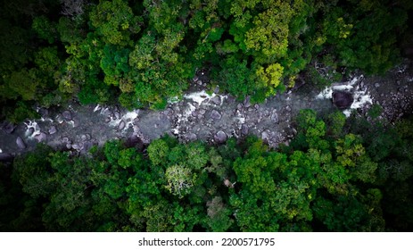 Aerial Drone Shot Of Mossman Gorge Surrounded By Rainforest, Situated In The Daintree National Park