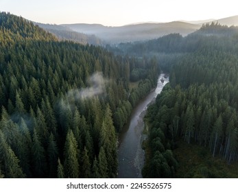 Aerial drone shot of a mountain river and green pine forest at early morning in Comandau,Transylvania, Romania. - Powered by Shutterstock