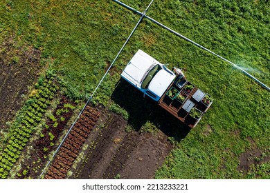 Aerial Drone Shot Of Old White Truck In Lush Green Farm With Farmer Tending To Organic Produce Crops 