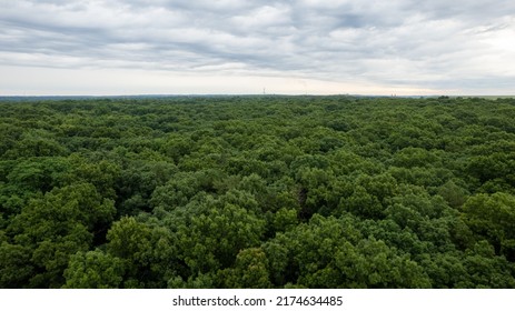 An Aerial Drone Shot Over Green Treetops On A Cloudy Day. There Are No People In Sight  The Scene Looks Like A Painting. Taken Over A Peaceful  Quiet Park Area On Long Island, NY.