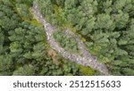 Aerial drone shot over a pine forest in the Scottish Highlands. Fast flowing creek river with small island. Douglas fir and Scots pine forest. 