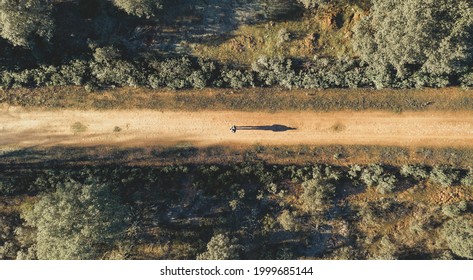 Aerial Drone Stone Path View