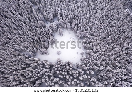 Aerial drone top down fly over winter spruce and pine forest with wooden cabin. Fir trees in mountains valley covered with snow. Landscape photography
