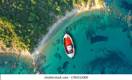 Aerial drone top down photo of beautiful wooden red fishing boat anchored in paradise bay covered with pine trees, Skiathos island, Sporades, Greece